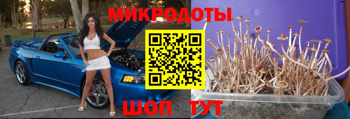 Галлюциногенные грибы Magic Shrooms Лабытнанги